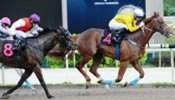 Huka Falls holds off Masthead to record his eighth career win.<br>Photo by Singapore Turf Club